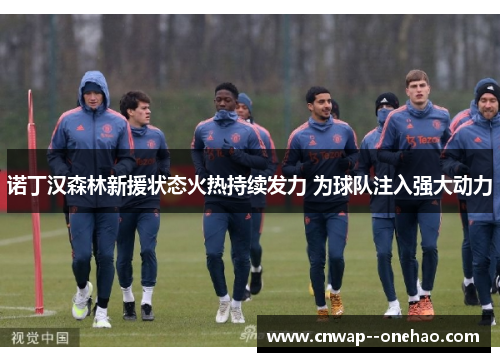 诺丁汉森林新援状态火热持续发力 为球队注入强大动力