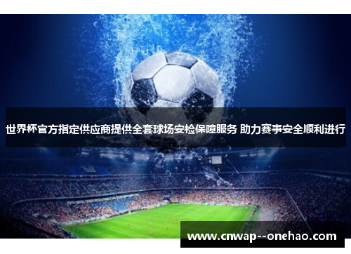 世界杯官方指定供应商提供全套球场安检保障服务 助力赛事安全顺利进行