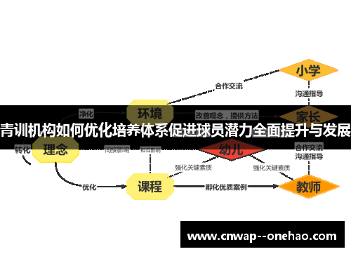 青训机构如何优化培养体系促进球员潜力全面提升与发展